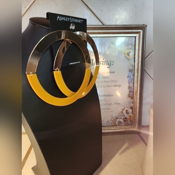 Large post back hoops! They fold for storage. - Picture 6 of 6